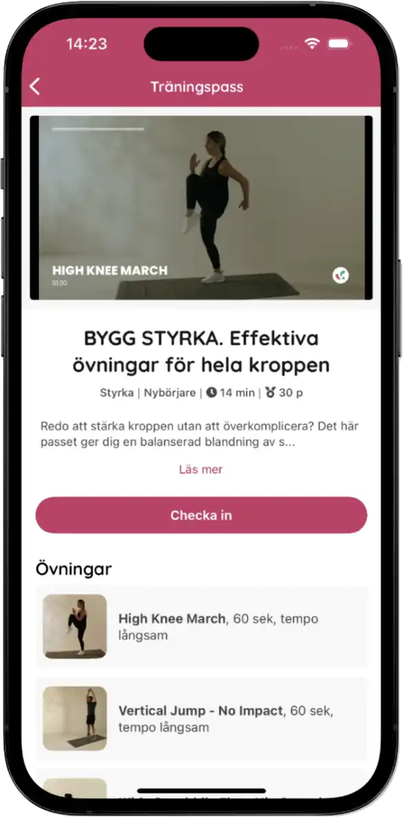Online-Workout